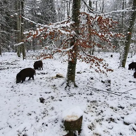 Semesterbostad Sonnenchalet Westerheim (Alb-Donau)